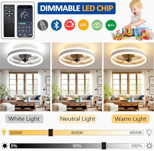 LED Ceiling Fans with Lights Reversible Remote, 6 Speeds Modern Bedroom Fan Ceiling Light Quiet Dimmable Small Ceiling Fan Light for Living Room, Black 40CM
