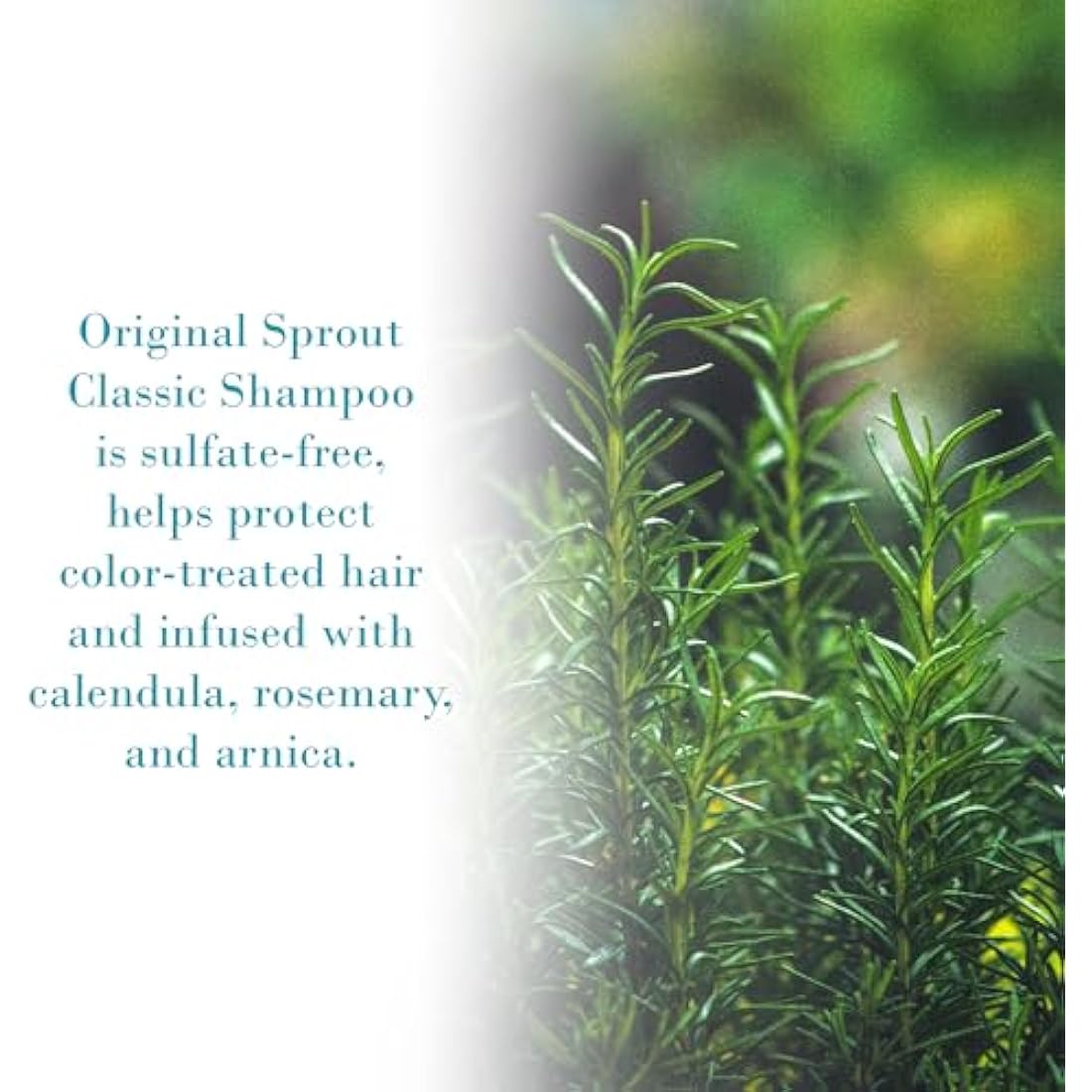 Original Sprout Sulphate Free Classic Shampoo, 946 ml
