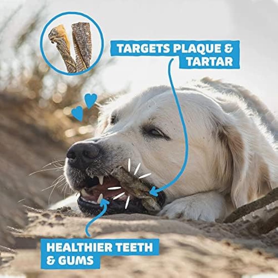 SKIPPER'S Fish Skin Twists Dog Chews for Teeth - Handmade & Gently Air- Dried - Healthy & Natural Dog Dental Sticks Long Lasting - Hypoallergenic & Grain Free (Regular, 1kg)