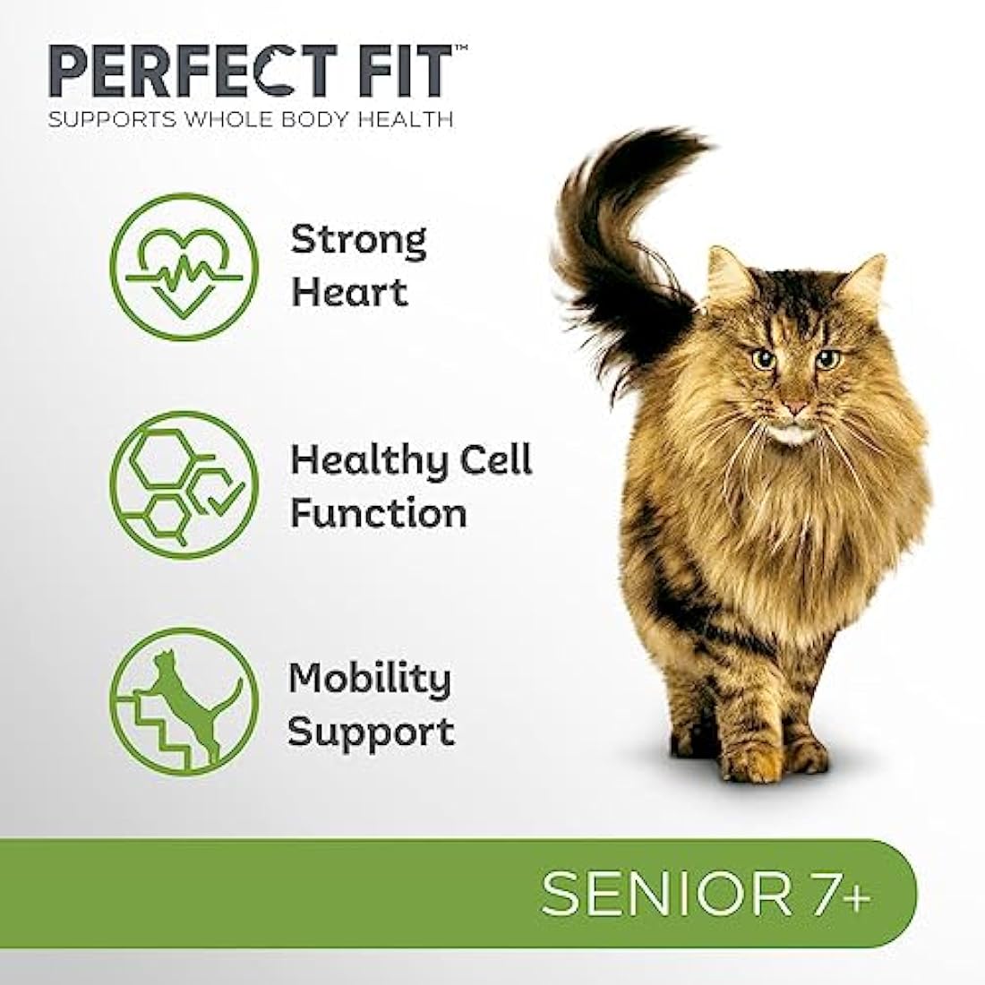 Perfect Fit Senior 7+ Complete Dry Cat Food for Senior Cats Aged 7+ Years, Rich in Chicken, 1 Bag (7 kg)