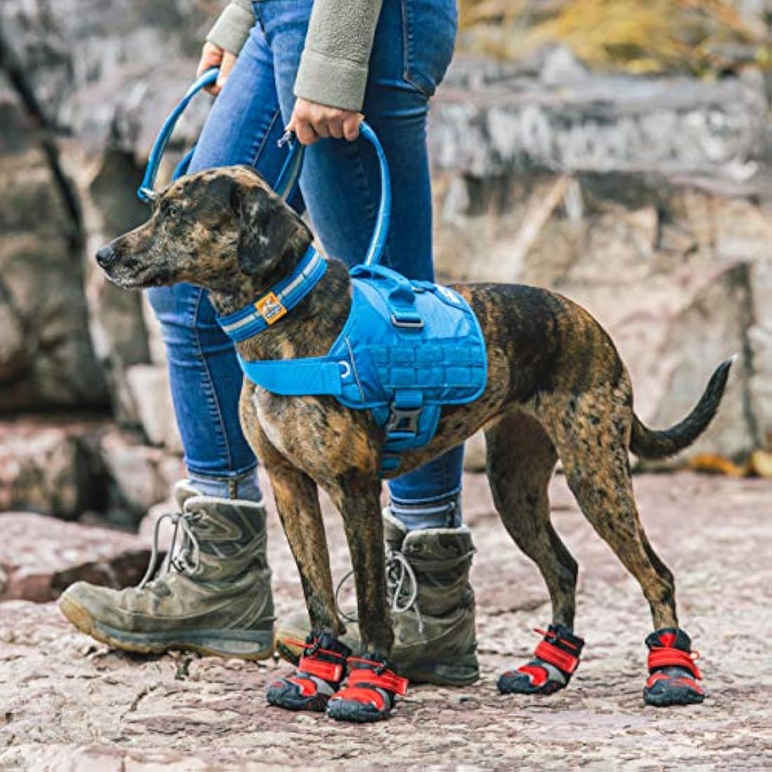 Kurgo RSG Dog Townie Harness, Easy On/Off Dog Hiking Harness, Adjustable, MOLLE Compatible, Large-Coastal Blue