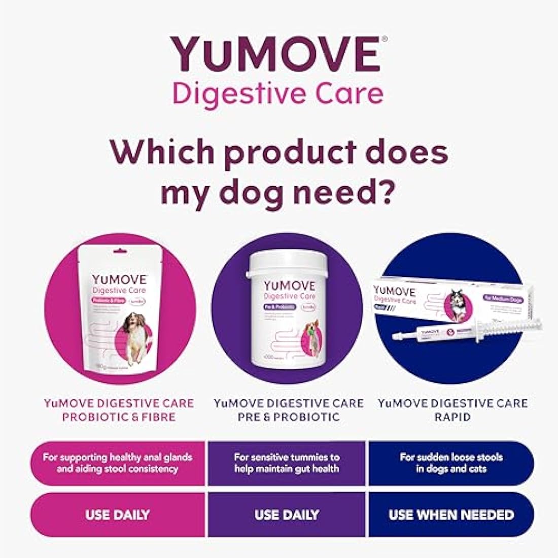 YuMOVE Digestive Care, Dog Pre and Probiotics Supplement for Gut Health and Digestive Support, All Ages and Breeds with Sensitive Digestion, 300 Tablets