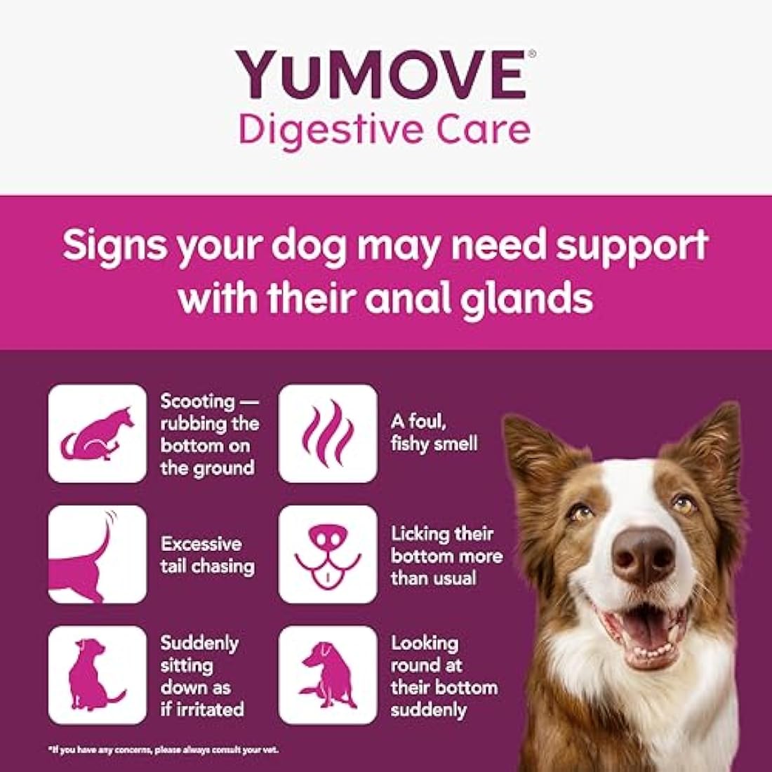YuMOVE Digestive Care & Fibre, Dog Pre and Probiotic Supplement for Gut Health, Digestive and Anal Glande Support, All Ages and Breeds with Sensitive Digestion, 180g