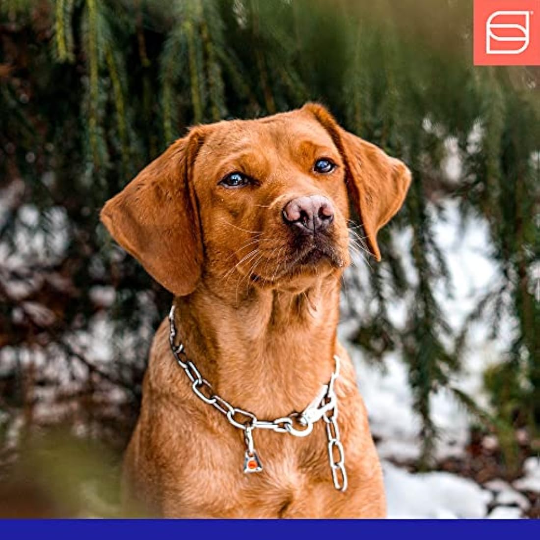 Sprenger HS - Collar adjustable short link stainless steel