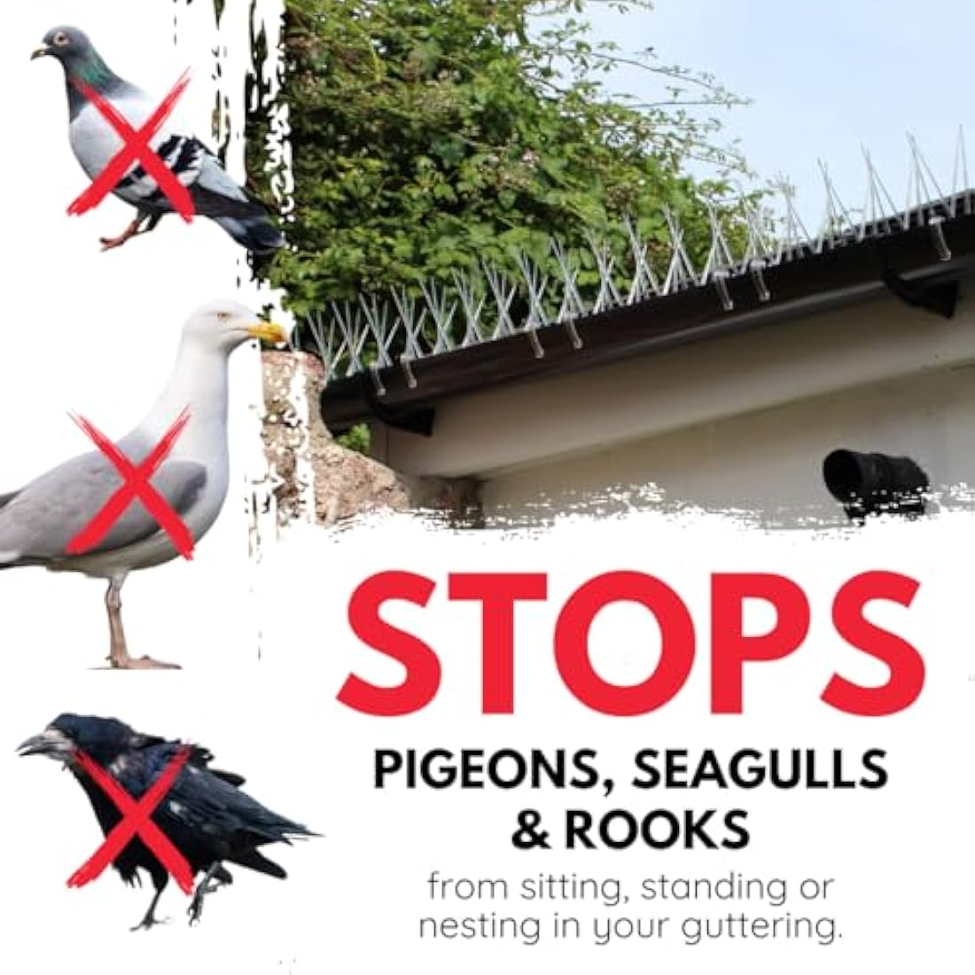 Defender Bird Spikes | Gutter Spikes Pack for Seagulls & Pigeons | Install Guide | 3 Metre