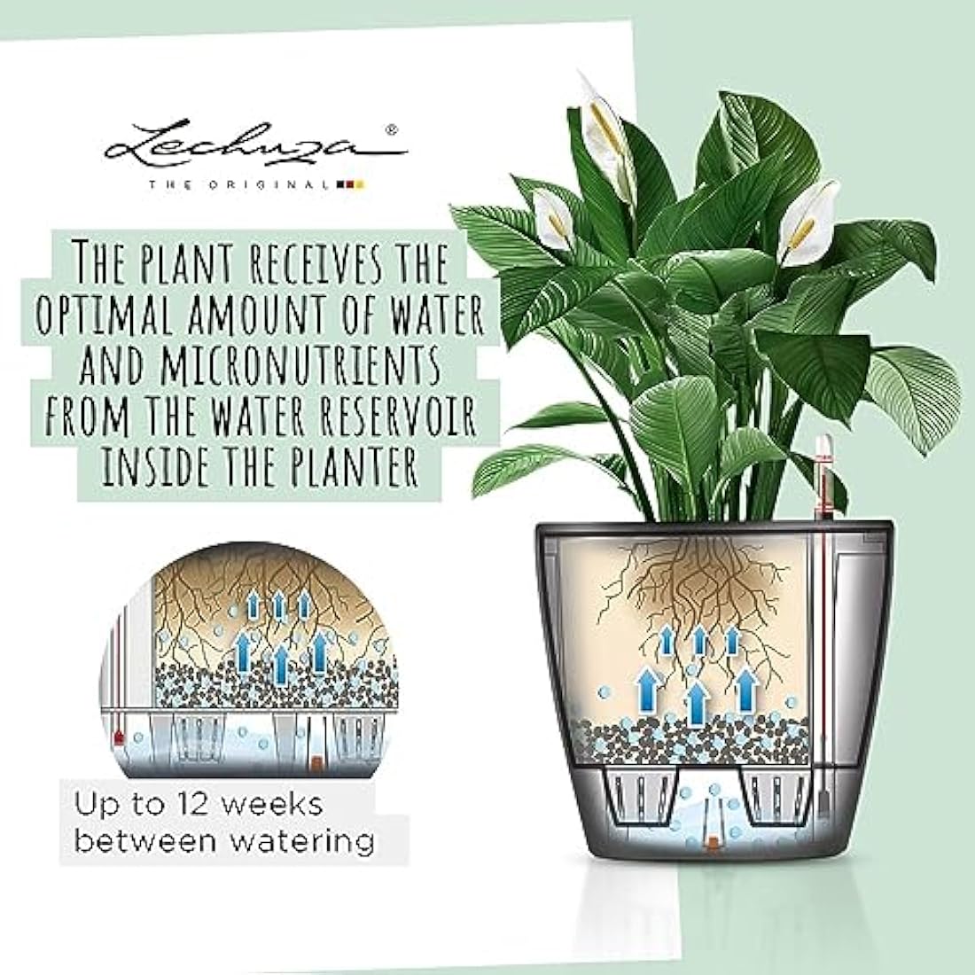 Lechuza Self Watering Plant Pot CLASSICO 50 LS Garden Flower Indoor and Outdoor Plastic Planter with Drainage Hole D50 H47 cm White High-Gloss