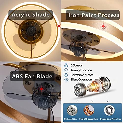 OMGPFR LED Ceiling Fan with Lights, Reversible Remote, 6 Speeds Modern Bedroom Fan Light, Quiet Dimmable Small Ceiling Light for Living Room, Black 50CM