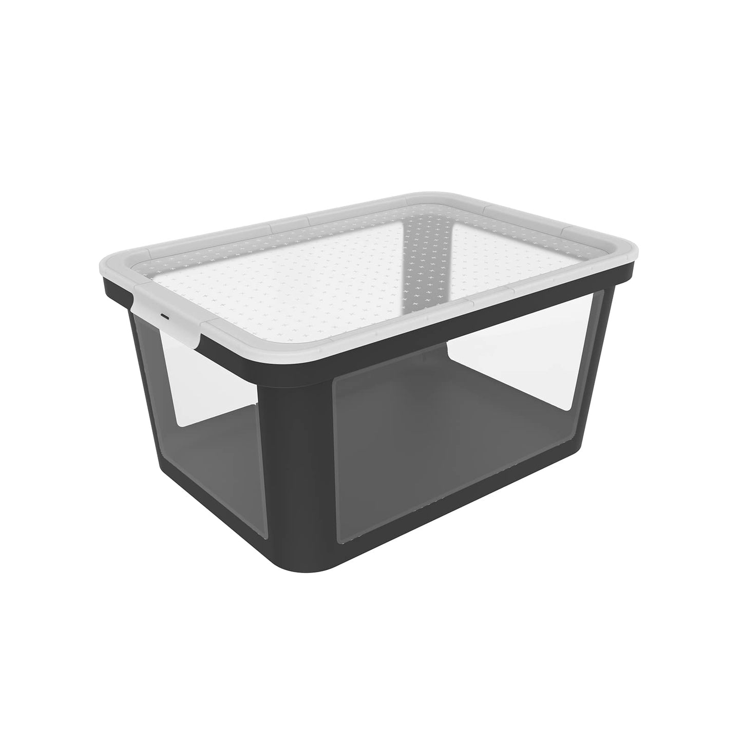 Rotho Albris Storage Box 45l with Lid, Plastic Container, Transparent/Black