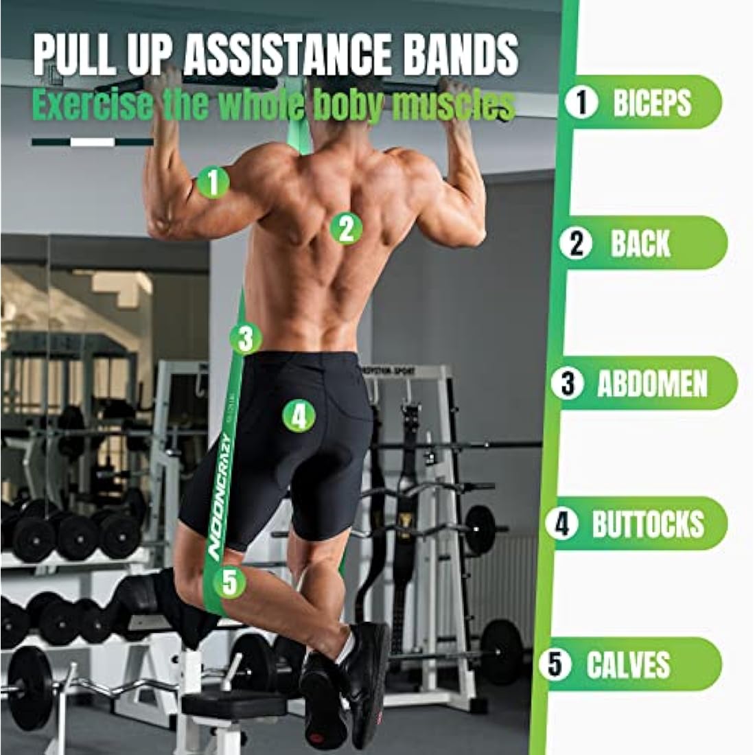 nooncrazy Resistance Bands Set, Pull Up Assistance Bands 4 Different Levels with Handles & Door Anchor & Training Poster, Gym Bands for Strength Training, Yoga, Muscle Toning for Men and Women