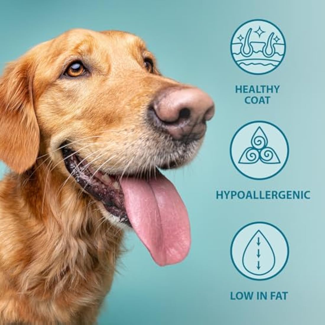 Burns Pet Nutrition Hypoallergenic Complete Dry Dog Food Adult and Senior Dog Original Chicken and Brown Rice 6 kg