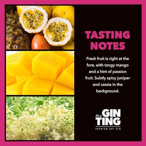 GinTing Passionfruit Mango & Elderflower Flavoured Gin 70cl | London Dry Gin with Delicious Citrus Fruit Gin Twist – Packed with Passion Fruit, Mango & Elderflower Gin Botanicals
