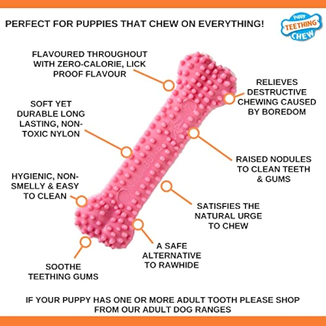 Nylabone Gentle Puppy Teething Dental Chew Toy Bone with Nubs & Ridges, Chicken Flavour, Pink, XS, for Puppies Up to 7 kg