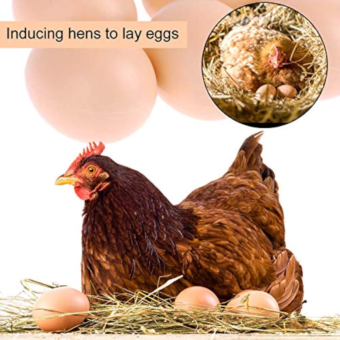 Artificial Plastic Eggs, 20Pcs Fake Chicken Eggs Artificial Nest Eggs Realistic Dummy Eggs Unbreakable Chicken Toy Eggs Encourage Laying&Prevent Eating Decorative Eggs DIY