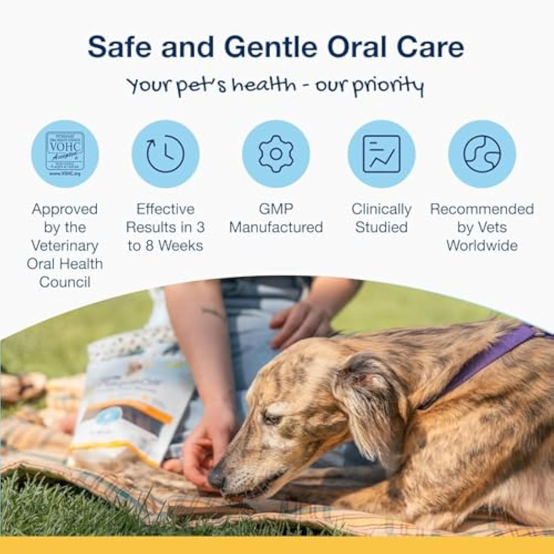 ProDen PlaqueOff 20 Mini Dental Bones for Small Dogs Tartar, Plaque & Bad Breath Remover, Improves Overall Oral Health, Vegetable Fusion and Blueberry