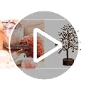 Amethyst Chakra Tree of Life - Crystal Tree for Positive Energy, Handmade Gem Tree - Feng Shui Decor, Good Luck Money Tree - Purple Healing Crystals for Spiritual Wisdom-Amythest tree
