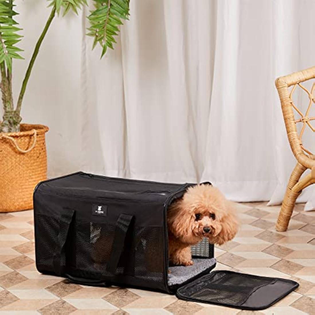X-ZONE PET Airline Approved Soft-Sided Pet Travel Carrier for Dogs and Cats (Large, Black)