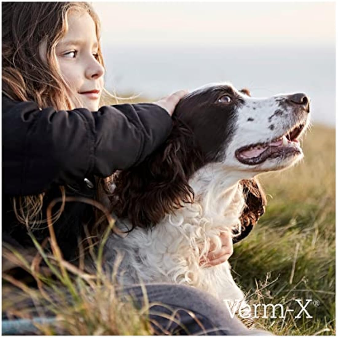 Verm-X All Natural Liquid for all Dogs. Supports  Intestinal Hygiene. Vet Approved. UFAS Assured.  Restores and Maintains Gut Vitality. Wormwood Free Recipe.