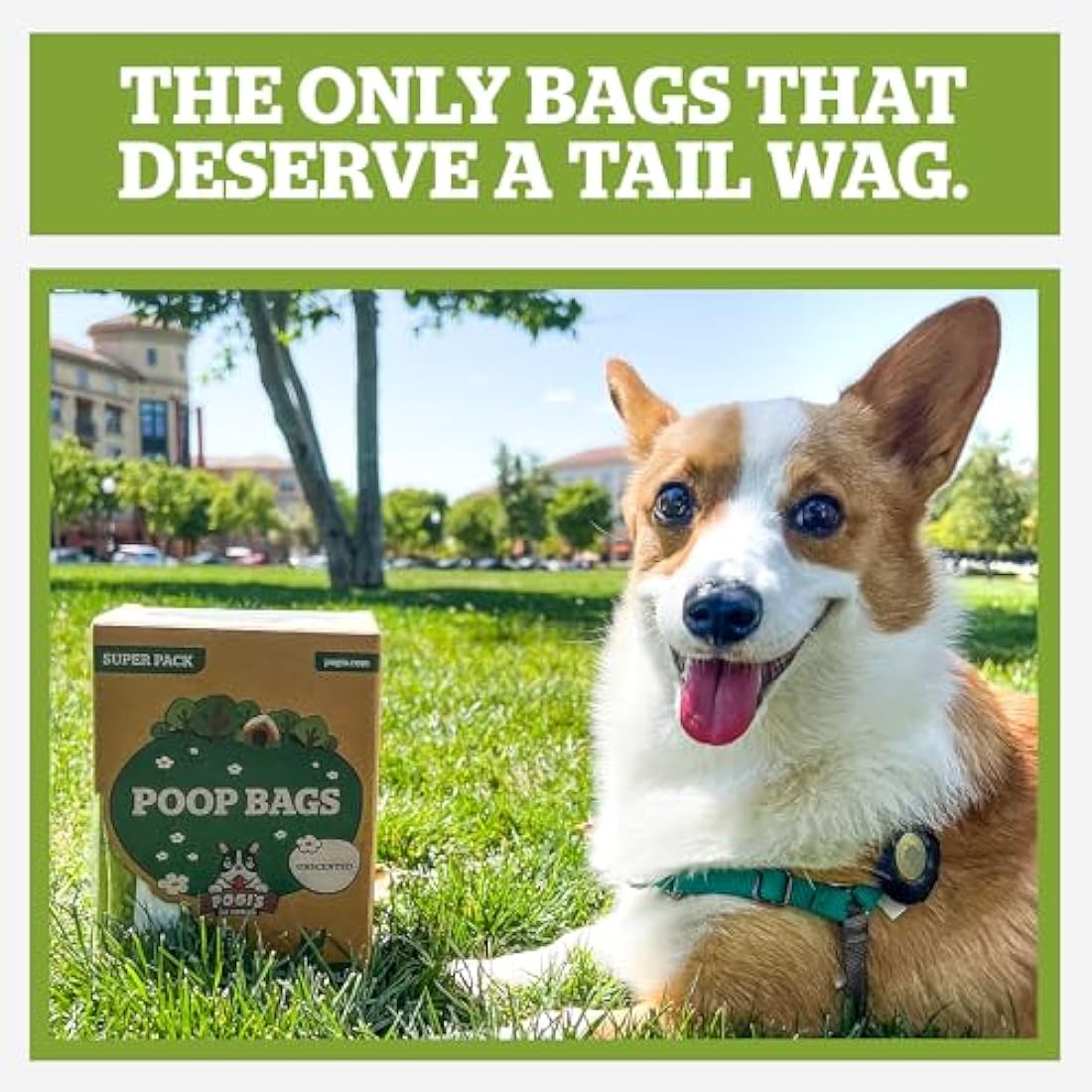 Pogi’s Dog Poo Bags with Handles – Extra Thick, Leak-Proof, Large, Unscented, 900-Count