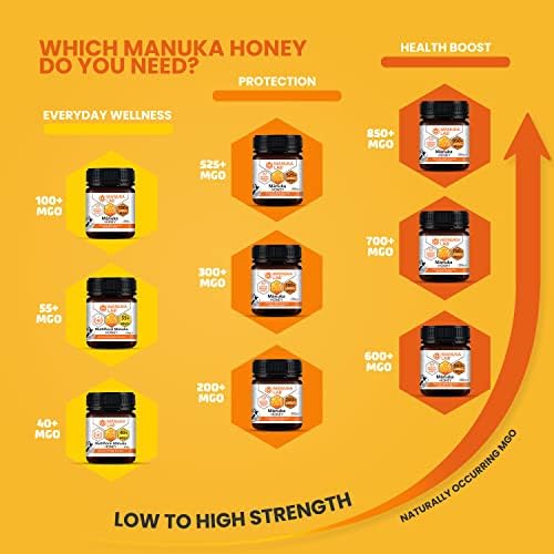 Manuka Lab Certified MGO 525+ Manuka Honey 500g - Antimicrobial Powerhouse for Wound and Skin Healing | Premium Quality Honey from New Zealand, Manuka Honey