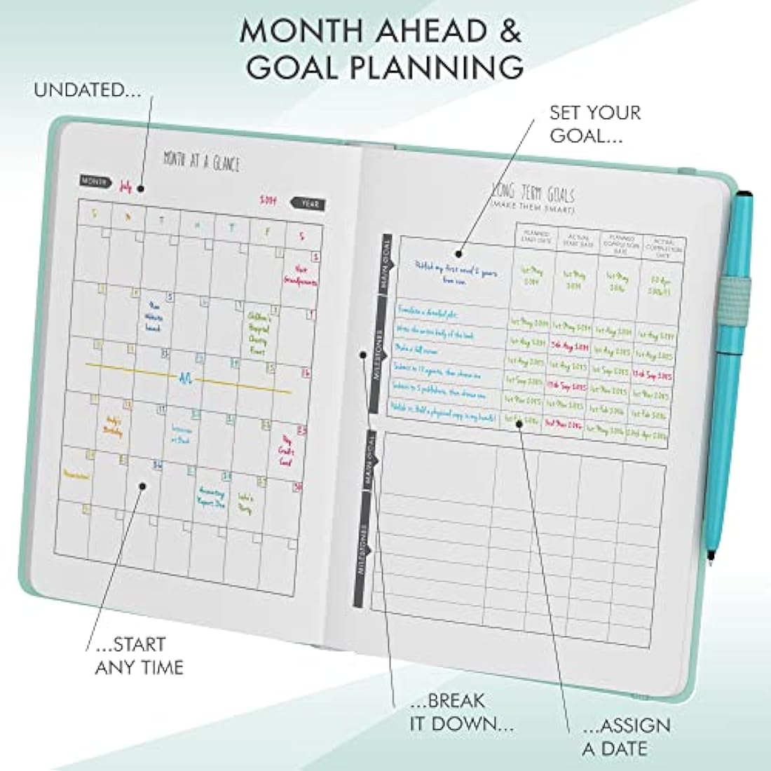 Daily Planner & appointment diary - Gratitude journal, wellness journal & Undated weekly planners and organisers - Desk journals for women & men - LUX Productivity Classic (DUCK EGG BLUE)