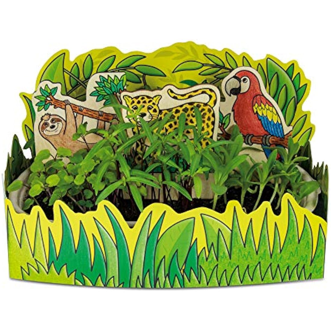 Galt Nature Lab-Explore and Discover Science Kit and Craft Kit-Science Experiments for Kids,Grow Plants,Create a Rainforest Scene and Go Scavenger Hunting-STEM Toys For Girls and Boys Age 5 Years Plus