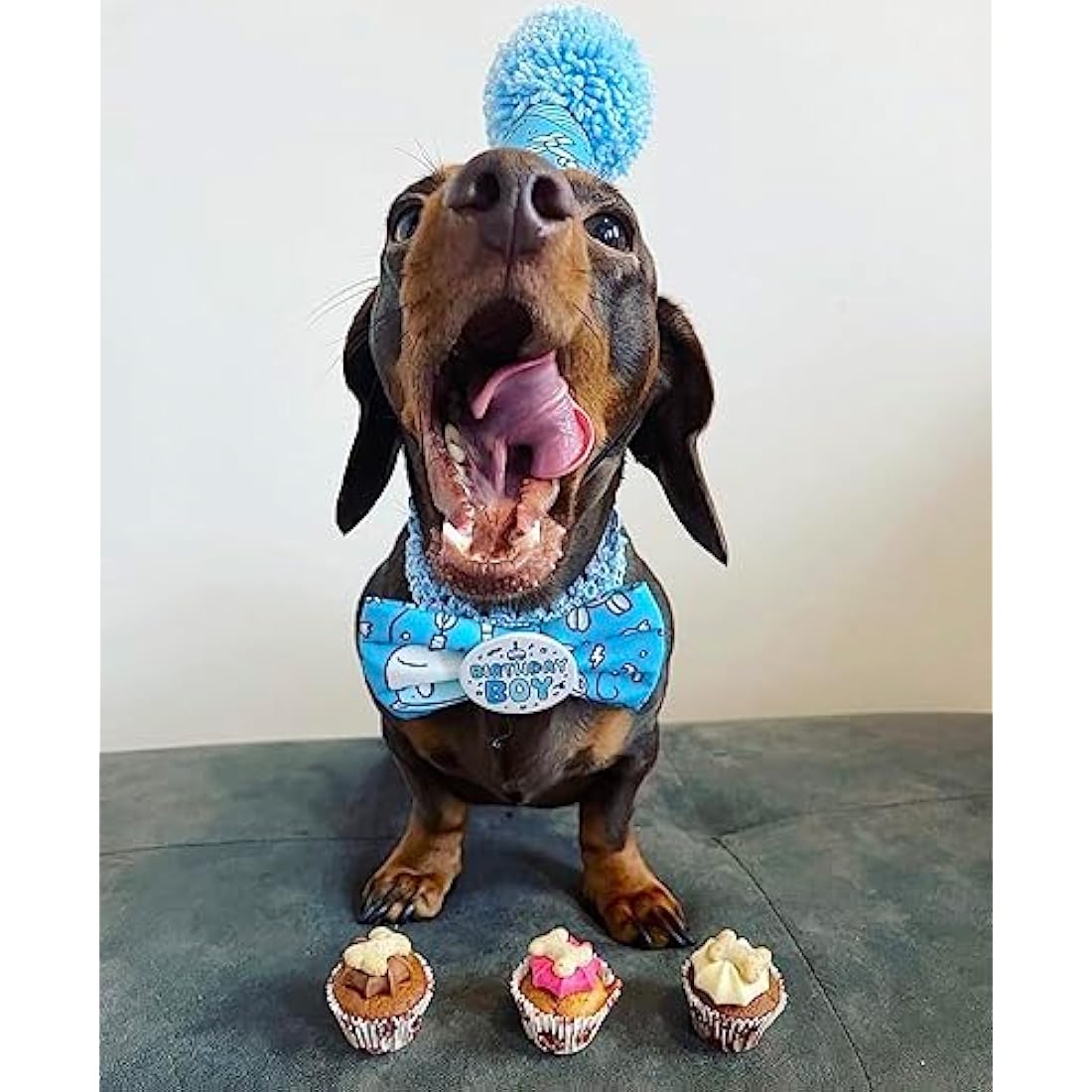 The Barking Bakery Trio of Mini Iced Woofins - 3 Little Cupcakes for Dog Doggy Treat