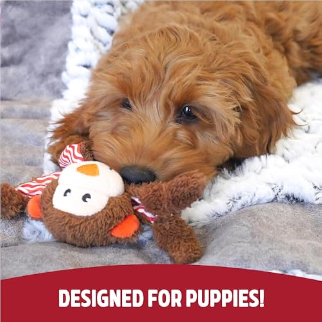 Rosewood Little Nippers Cheeky Chimp Puppy Toy – Enriching Soft Plush Dog Toy with Flat Body – Crinkle and Squeak Teething Toy for Puppies – Small Dog Chew Toy for Play and Comfort