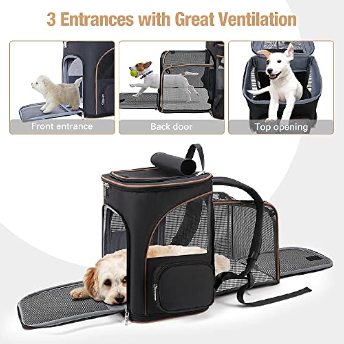 Lekesky Expandable Cat Carrier Backpack - Portable Breathable Rucksack for Medium and Small Cats & Dogs, Foldable with Inner Escape-proof Leash and Pet Mat, Supports 20 lbs (Black)