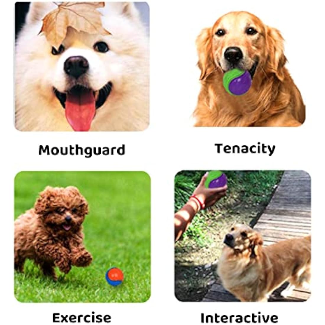 6Pcs Squeaky Dog Ball, Dog Toys Teeth Cleaning Puppy Chew Toys Pet Training Ball Dogs Interactive Dogs Balls