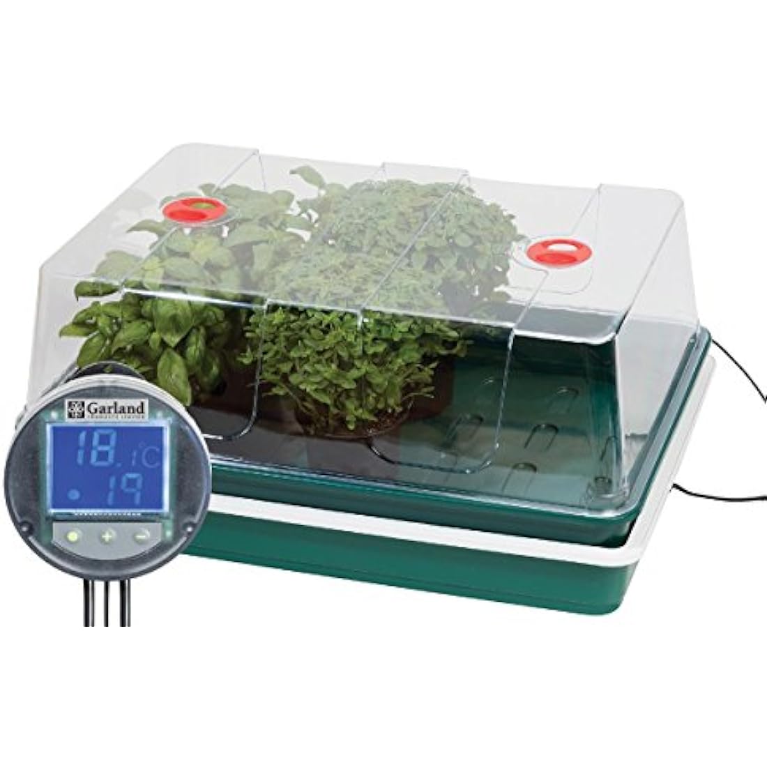 Garland GAL60PV 50 W Variable Temperature Control Electric Propagator, Black, 59x41x27 cm