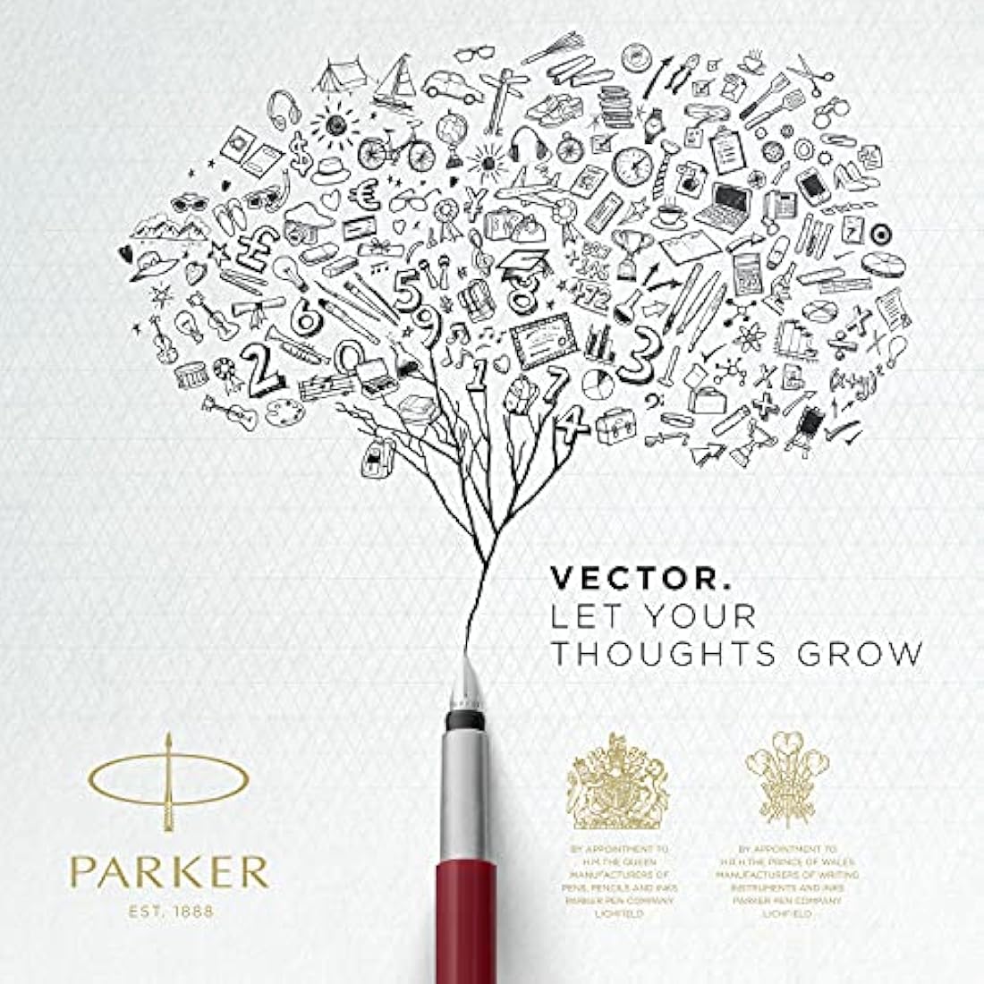 Parker Vector Fountain Pen | Black with Chrome Trim | Medium Nib | Blue Ink | Hangtab