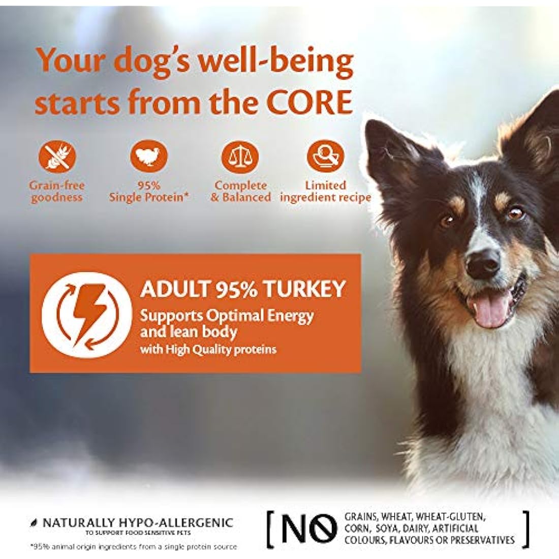 Wellness CORE 95 Percent Turkey & Kale, 6 x 400g, Dog Food Wet for All Dog Breeds, Chunky Paté, Grain-Free, High Meat Content, Protein-Rich, Limited Ingredient Recipe