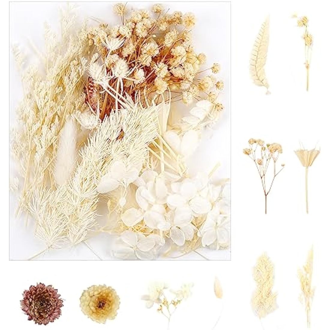 Decorative Artificial Dried Flowers - Natural Everlasting Floral Bundle(Style A)