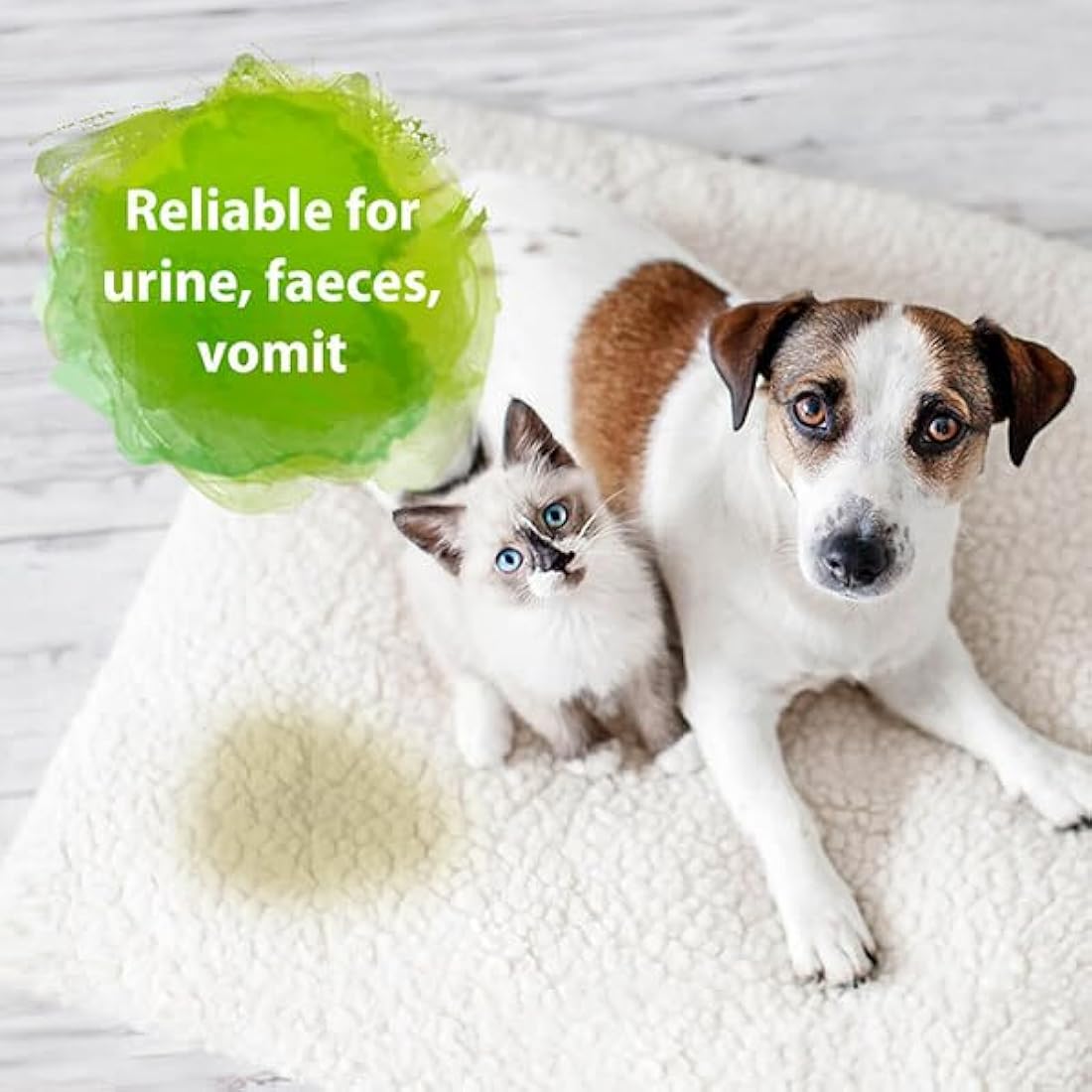 Bactador Odor and Stain Remover Concentrate 10L - Biological enzyme cleaner against sweat, smoke, cat urine, dog urine, animal odors - For household, car & animal environment