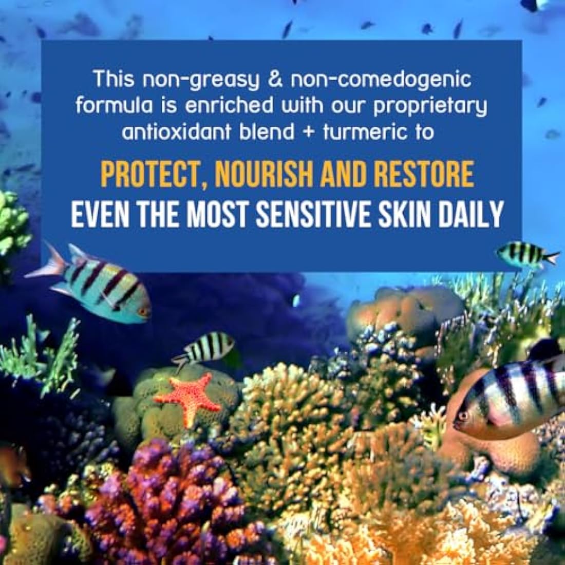 SPF 45 Every Day Active Mineral Sunscreen | 75 ml Biodegradable & Reef Safe Sunscreen for Face & Body | Non-Greasy, Lightweight & Sheer Mineral Protection Against UVA & UVB by Stream2Sea