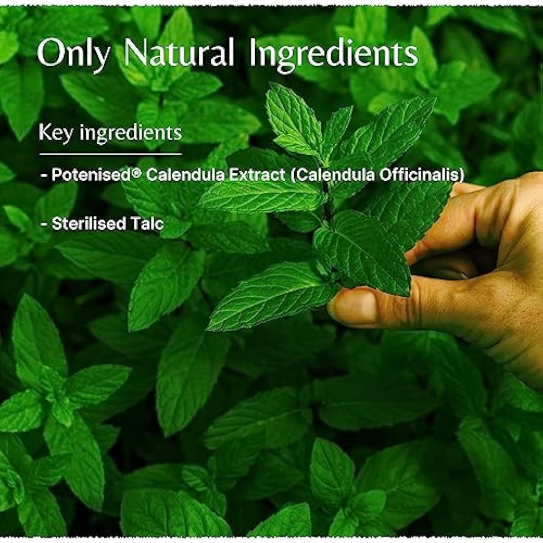 Mistry's Calendula Powder 150g - Natural Plant Based Powder for Wounds and Skin Irritation - Additive Free, Vegan