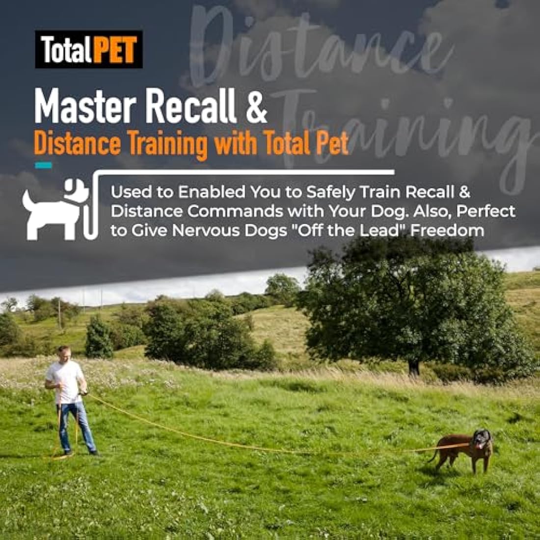 Total Pet Training Lead for Dogs, Waterproof Long Line for Recall & Obedience Training - Extra Long Dog Lead - Suitable for all Sized Dogs (10m, Regular Clip)