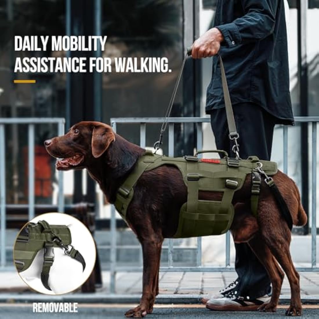 OneTigris Dog Lift Harness for Large Dogs, Dog Support Sling for Back Legs, DOG Lifter with Handles Invictus Multifunctional Mobility Assistance Vest Pet Hip Support Brace (Olive, L)