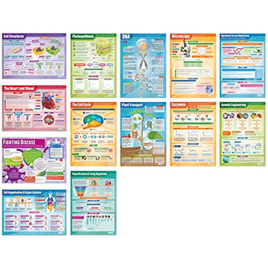 Daydream Education Biology Posters - Set of 13 | Science Posters | Gloss Paper measuring 850mm x 594mm (A1) | Science Charts for the Classroom | Education Charts