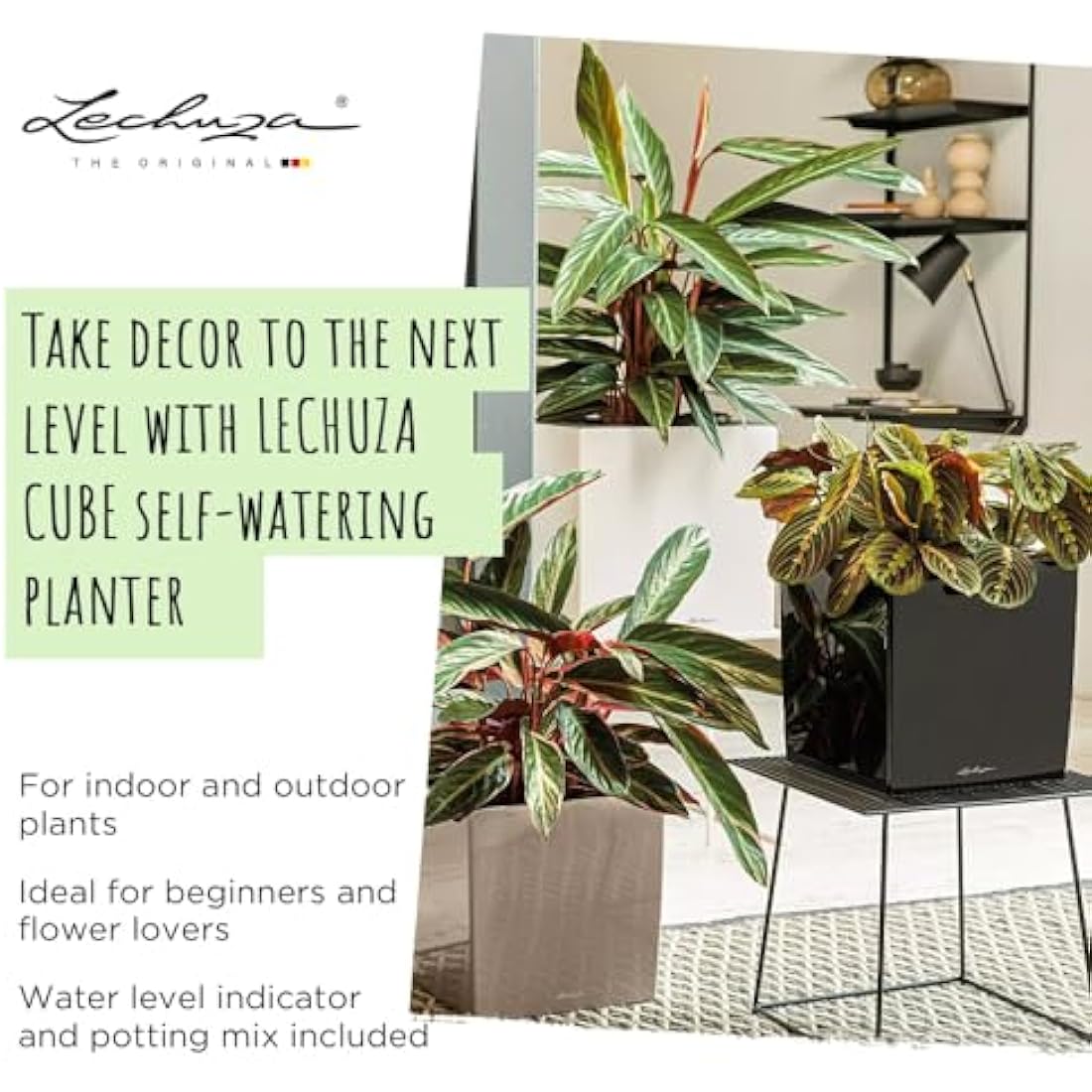 Lechuza Self Watering Plant Pot CUBE 50 Garden Flower Indoor and Outdoor Large Plastic Planter with Drainage Hole H50 L50 W50 cm Charcoal Metallic