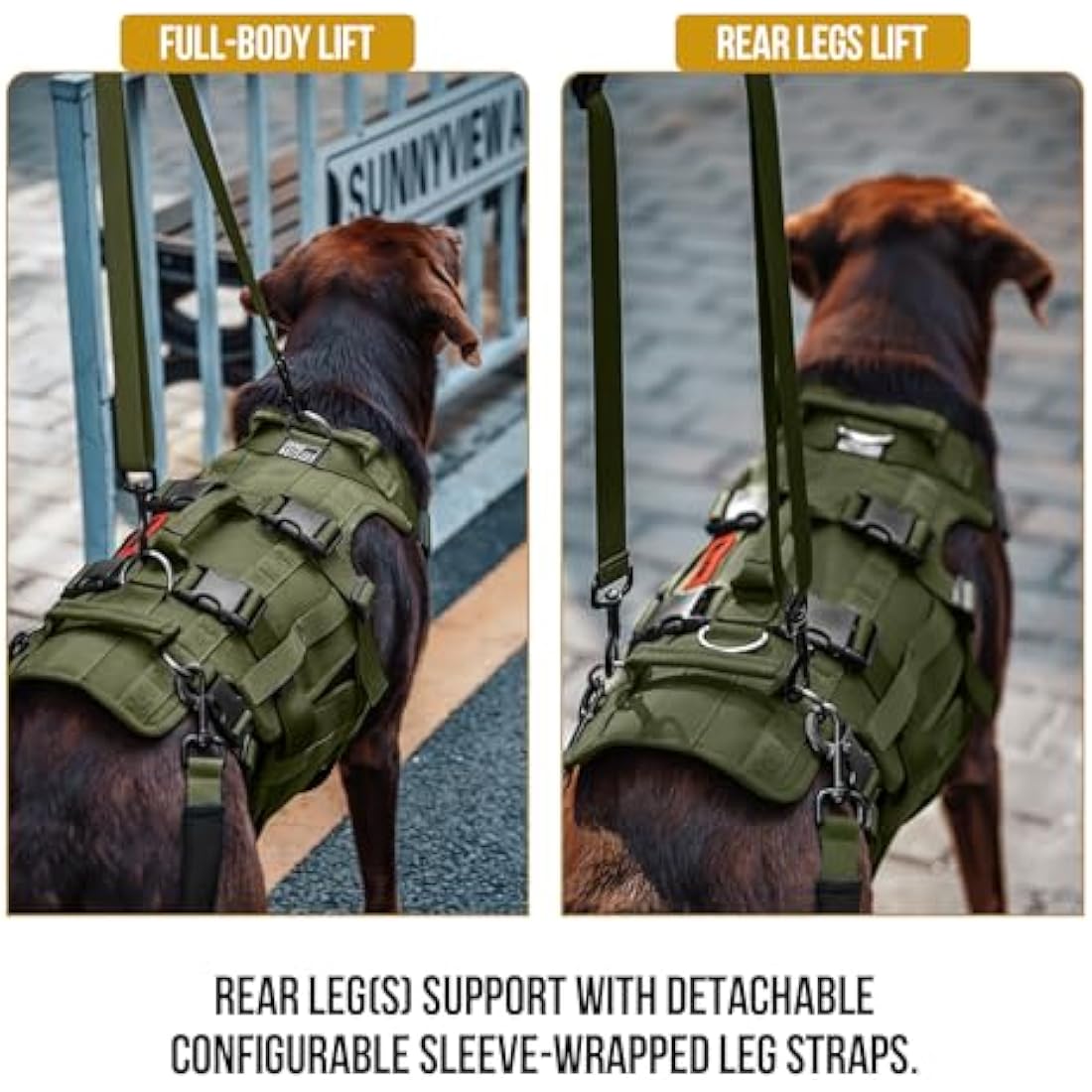 OneTigris Dog Lift Harness for Large Dogs, Dog Support Sling for Back Legs, DOG Lifter with Handles Invictus Multifunctional Mobility Assistance Vest Pet Hip Support Brace (Olive, L)