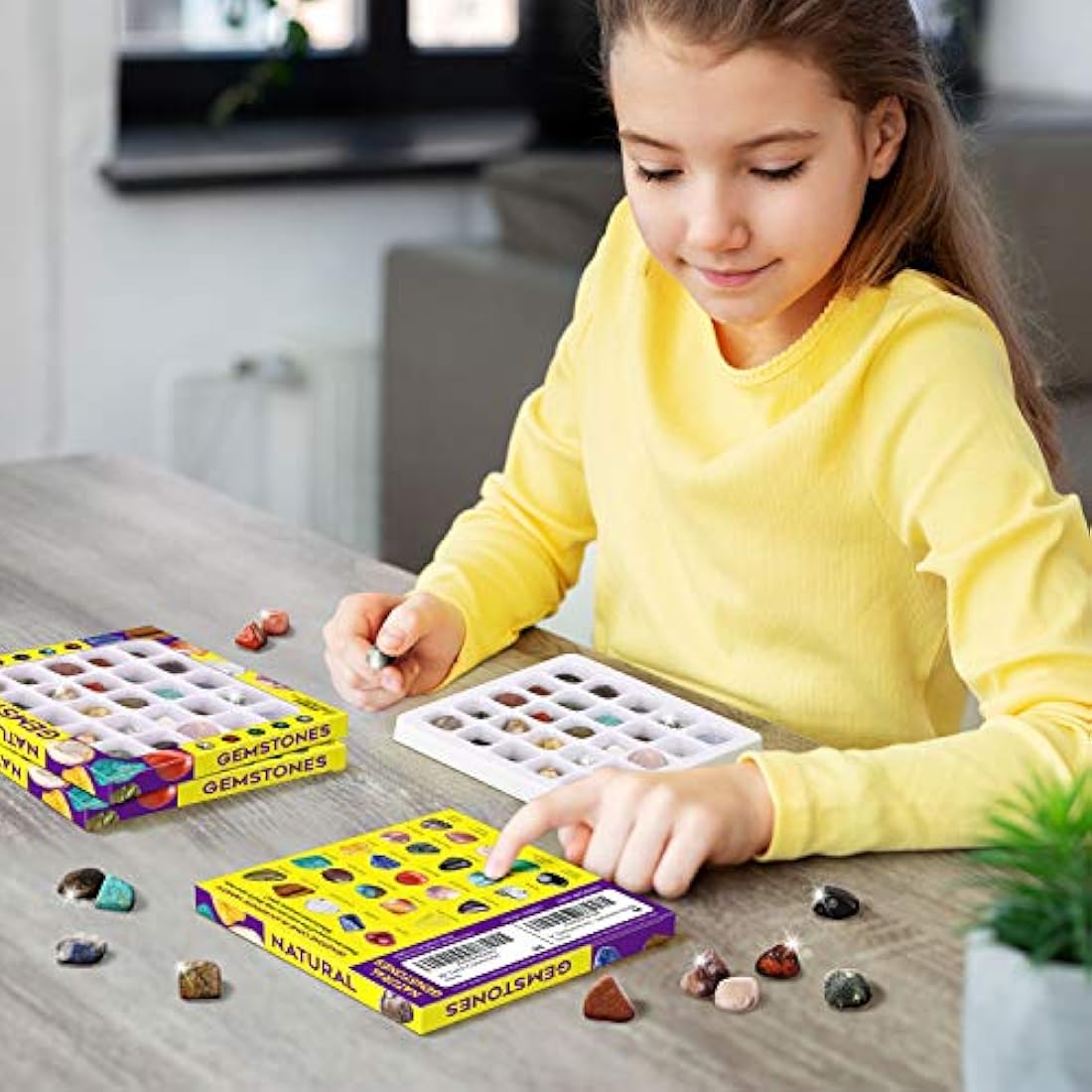 Rock Mineral Gem Collection For Kids 25 Gemstones Included Educational Identification Sheet Rose Quartz Gemstones Jasper Stones