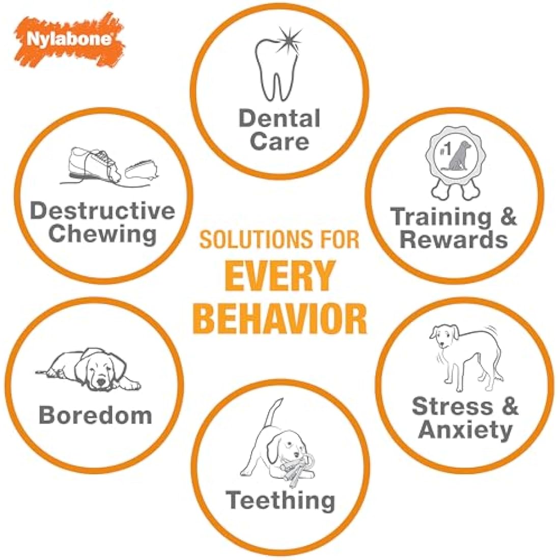 Nylabone Extreme Tough Dog Chew Toy Bone, Durable, Cleans Teeth, Beef & Cheese, Medium, for Dogs Up to 16 kg
