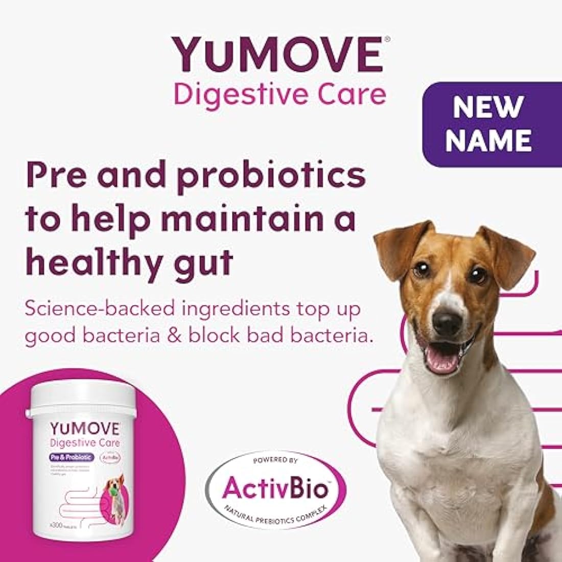 YuMOVE Digestive Care, Dog Pre and Probiotics Supplement for Gut Health and Digestive Support, All Ages and Breeds with Sensitive Digestion, 300 Tablets