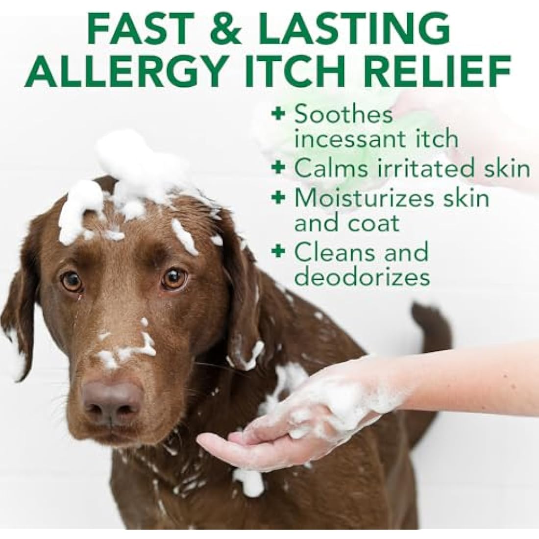 Vet's Best Allergy Itch Relief Dog Shampoo, Cleans and Relieves Discomfort from Seasonal Allergies, Gentle Formula 500ml