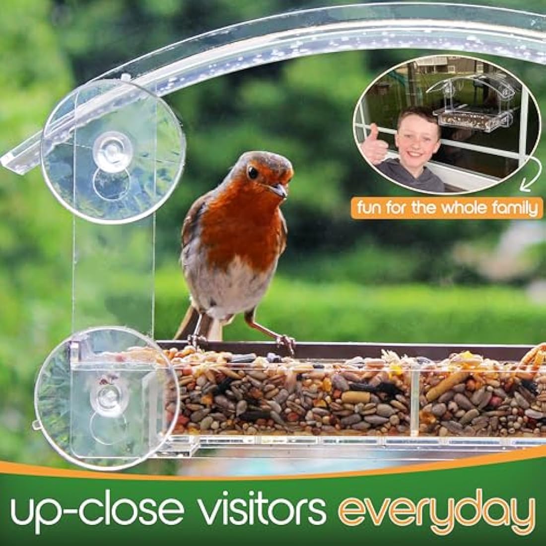 Window Bird Feeder with Strong Suction Cups HOMEBIRD Window Feeder with Removable Seed Tray For Bird Watching Bird Feeders for Small Birds Squirrel Proof Bird Feeder Box