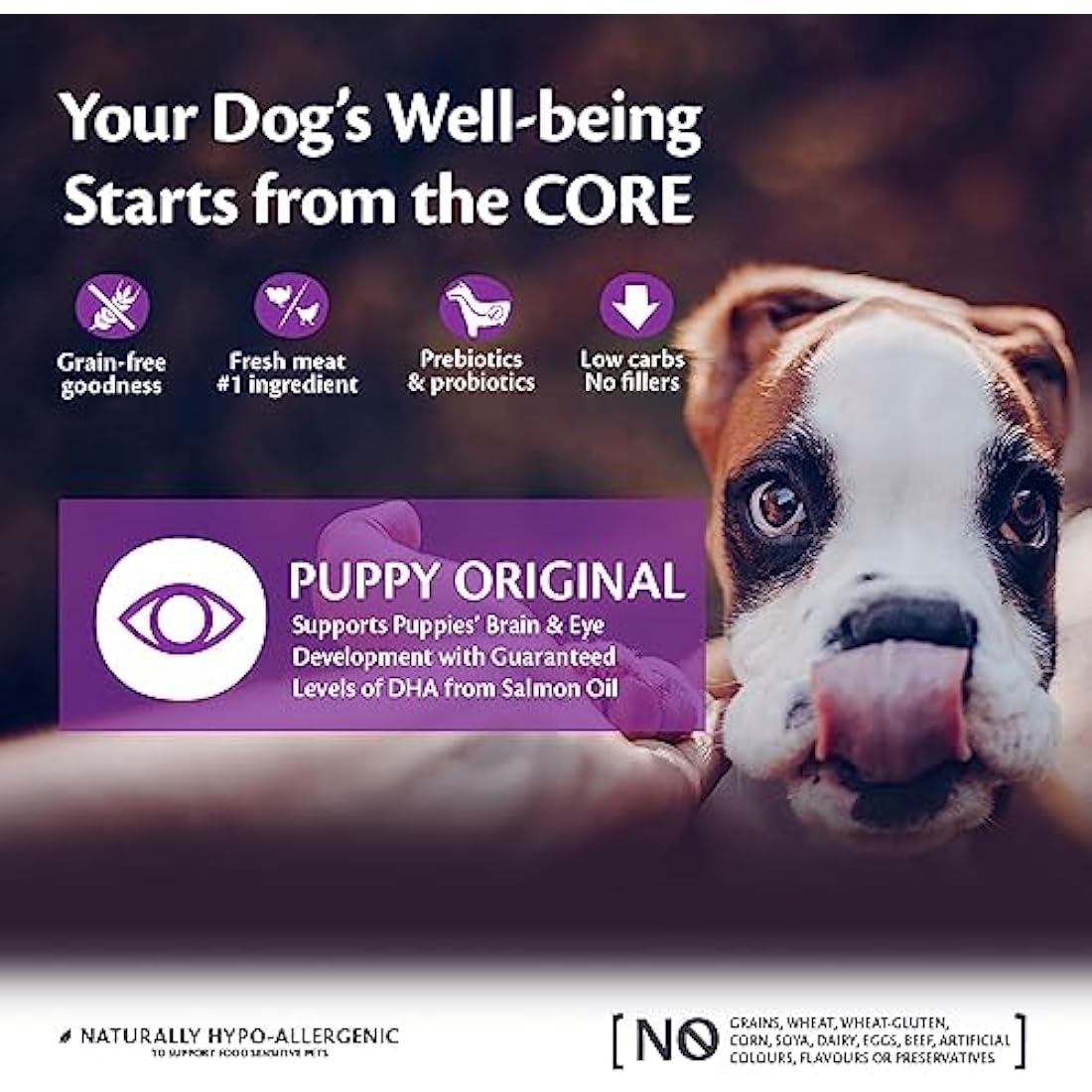 Wellness CORE Puppy Original, 10kg, Turkey & Chicken, Puppy Food Dry for Small & Medium Breed Puppies, All-Natural, Grain-Free, High Meat Content, No Added Sugar
