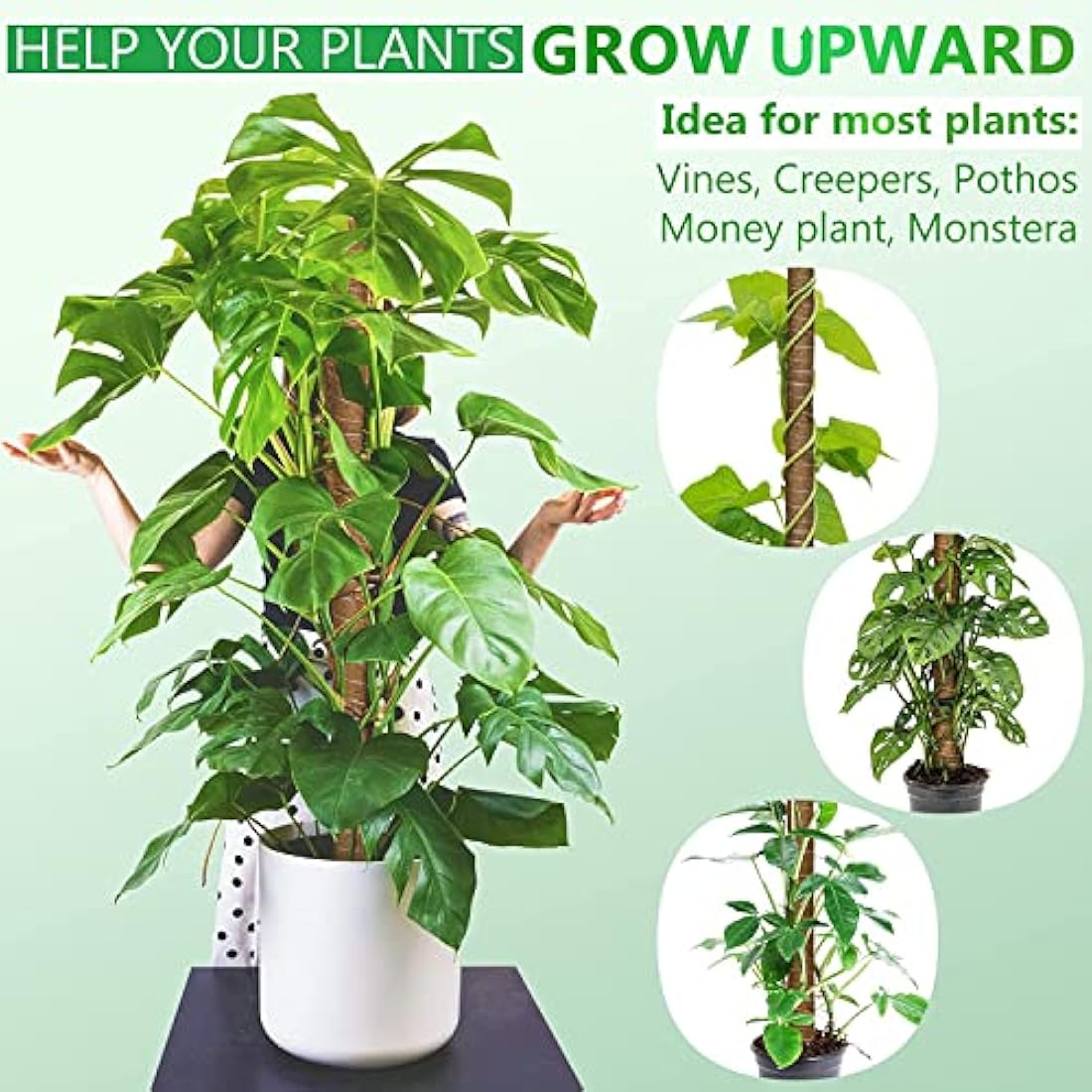 Moss Pole 56 Inch 142cm, 4 Pcs Moss Pole for Monstera, 45cm Coir Totem Pole Moss Stick for Climbing Plants Indoor Monstera Support Extension, Train Potted Creepers to Grow Upwards, 65 Feet Twist Tie