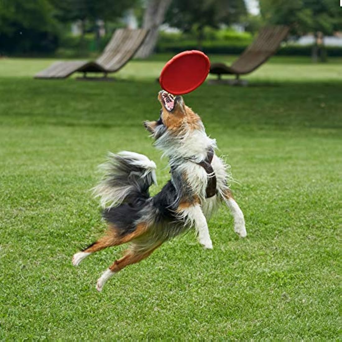 Vivifying Dog Flying Disc, 2 Pack 7 Inch Natural Rubber Floating Flying Saucer for Both Land and Water (Green + Red)
