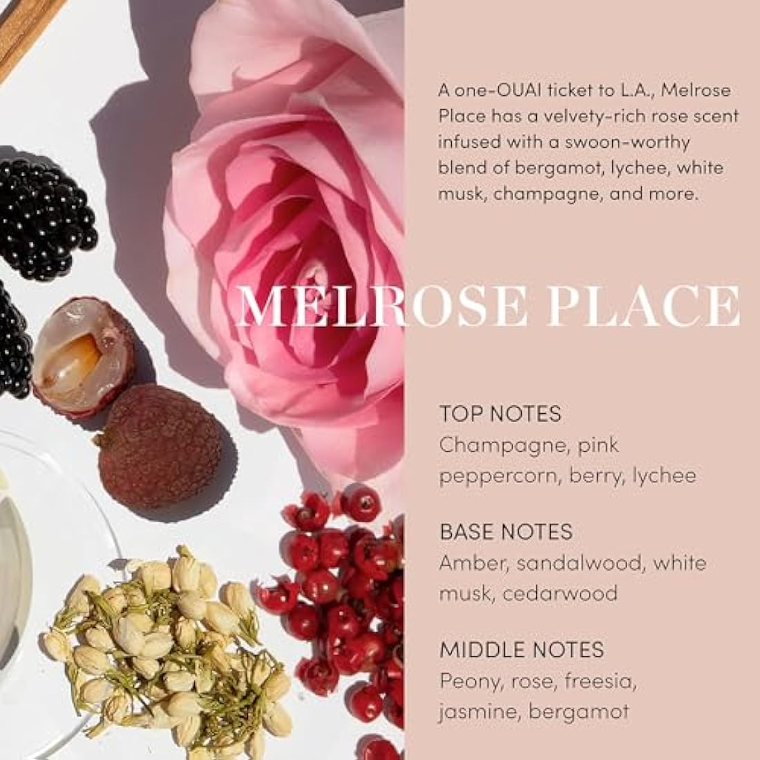 OUAI Scalp & Body Scrub - Melrose Place - Exfoliating Body Polish with Sugar & Coconut Oil Blend for Smooth, Moisturized Skin - Gentle Scalp Exfoliator for Removing Product Build Up (250g)
